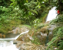 Caluma
